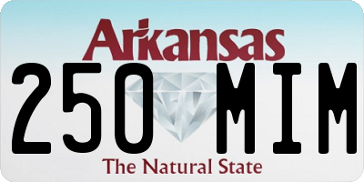 AR license plate 250MIM