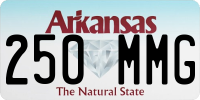 AR license plate 250MMG