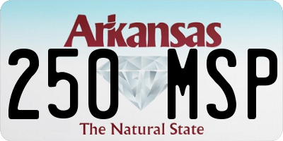 AR license plate 250MSP