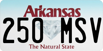 AR license plate 250MSV