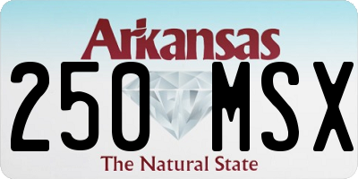 AR license plate 250MSX