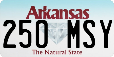 AR license plate 250MSY