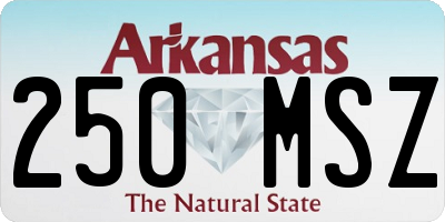 AR license plate 250MSZ