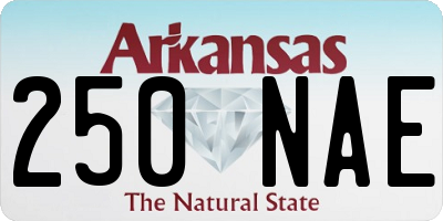 AR license plate 250NAE