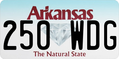 AR license plate 250WDG