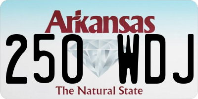 AR license plate 250WDJ