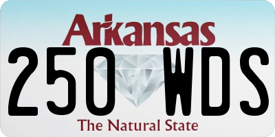 AR license plate 250WDS