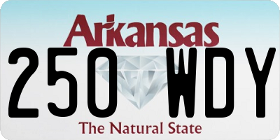 AR license plate 250WDY