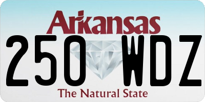 AR license plate 250WDZ