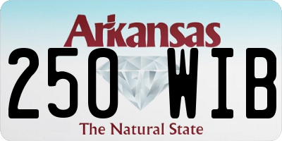 AR license plate 250WIB