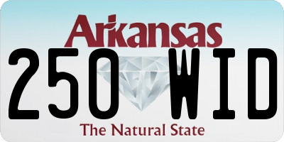 AR license plate 250WID