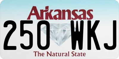 AR license plate 250WKJ