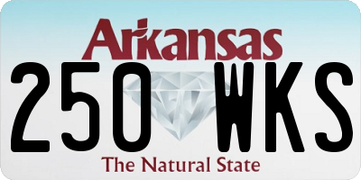 AR license plate 250WKS