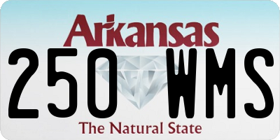 AR license plate 250WMS