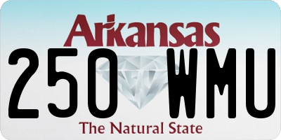AR license plate 250WMU