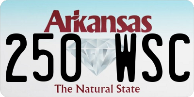 AR license plate 250WSC