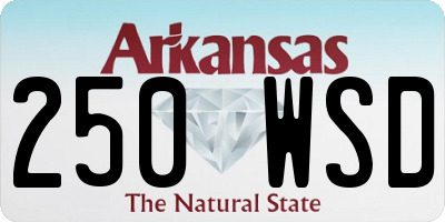 AR license plate 250WSD