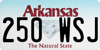 AR license plate 250WSJ