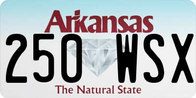 AR license plate 250WSX