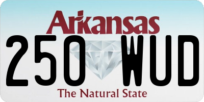 AR license plate 250WUD