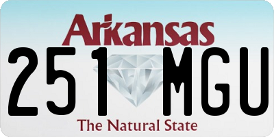 AR license plate 251MGU
