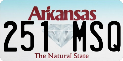 AR license plate 251MSQ
