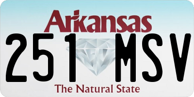 AR license plate 251MSV