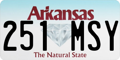 AR license plate 251MSY