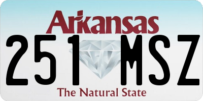 AR license plate 251MSZ