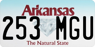 AR license plate 253MGU