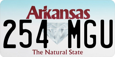 AR license plate 254MGU