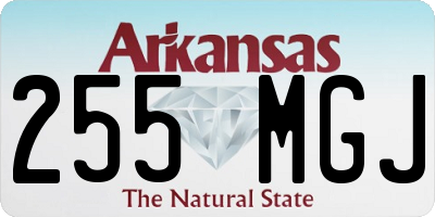 AR license plate 255MGJ