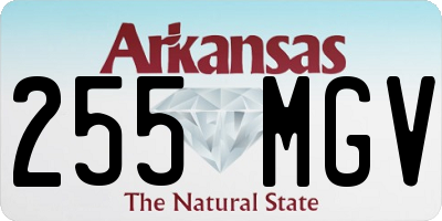 AR license plate 255MGV