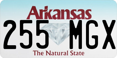 AR license plate 255MGX