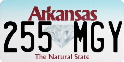 AR license plate 255MGY
