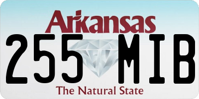 AR license plate 255MIB