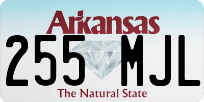 AR license plate 255MJL