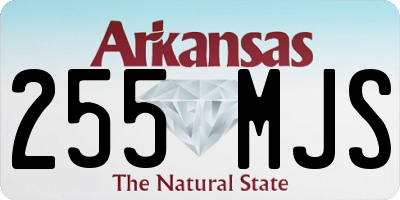 AR license plate 255MJS