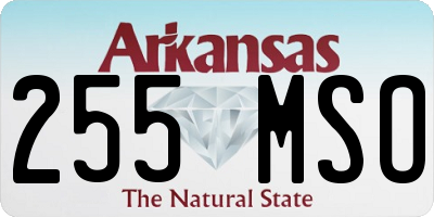 AR license plate 255MSO
