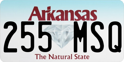 AR license plate 255MSQ