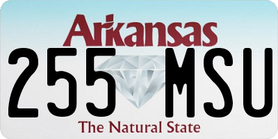 AR license plate 255MSU