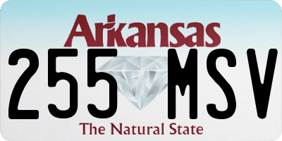 AR license plate 255MSV