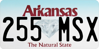 AR license plate 255MSX