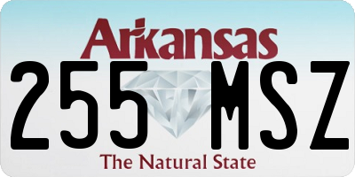 AR license plate 255MSZ
