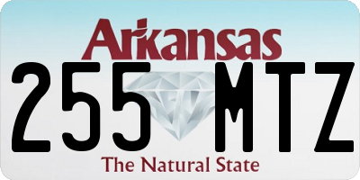 AR license plate 255MTZ