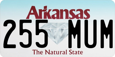 AR license plate 255MUM