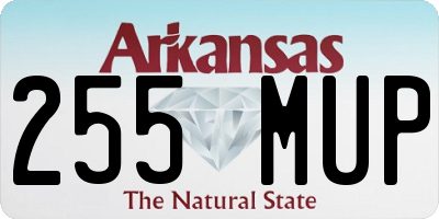 AR license plate 255MUP
