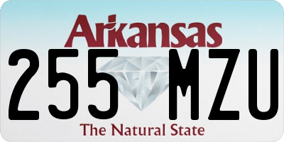 AR license plate 255MZU
