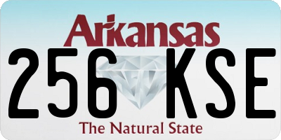 AR license plate 256KSE