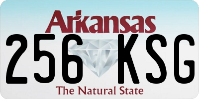 AR license plate 256KSG
